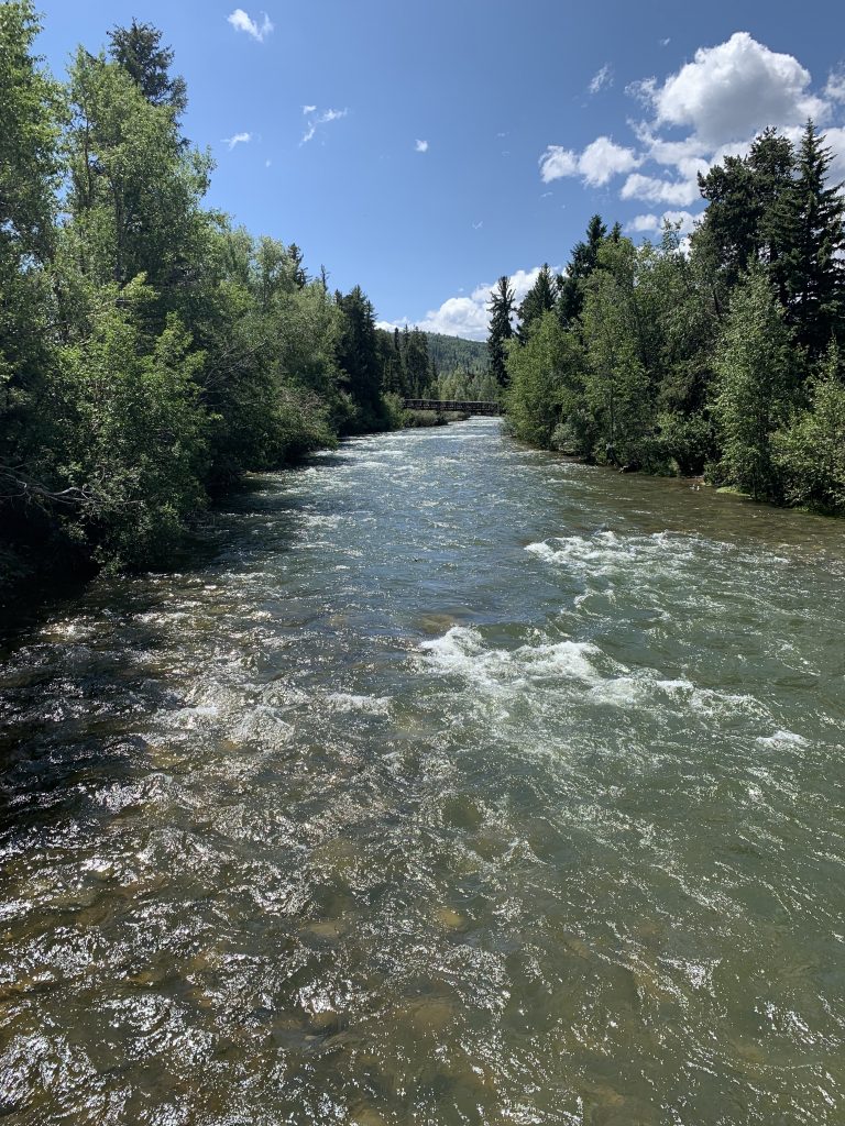 Snippets From a Family Trip to the Mountains | Colorado | EverydayAccountsBlog.com